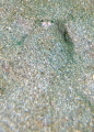  Eyes sand Picture taken Dunmanus Bay Ireland cropped  